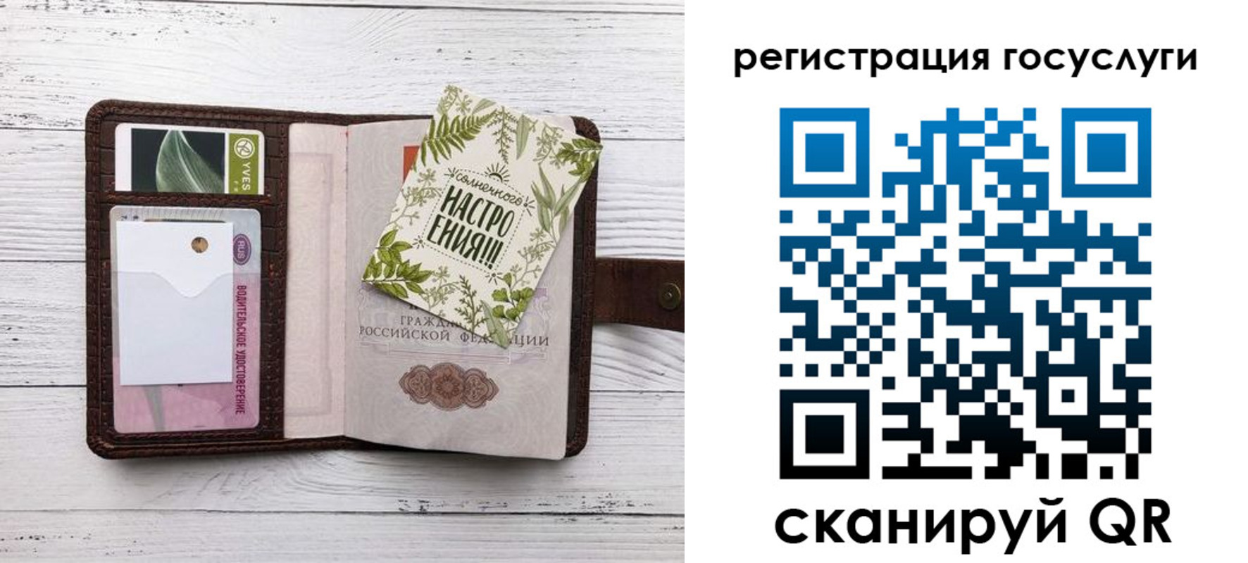 прописка 2025 в Оленегорске