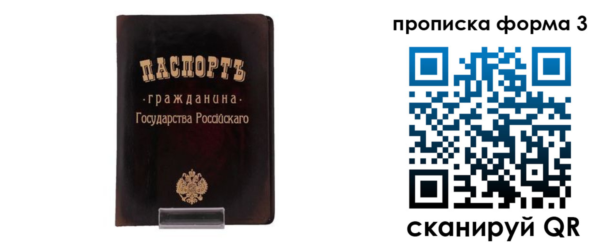 прописка паспорт в Оленегорске